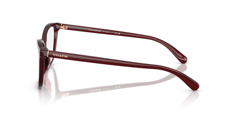 Coach HC6206U in Milky Burgundy / Demo Lens (5393) - Back View