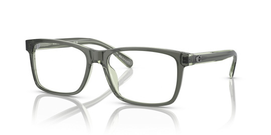Coach HC6213U - Moss/Mint / Demo Lens (5746)