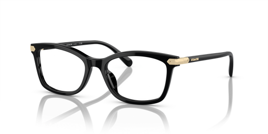 Coach HC6219U - Black / Demo Lens (5002)