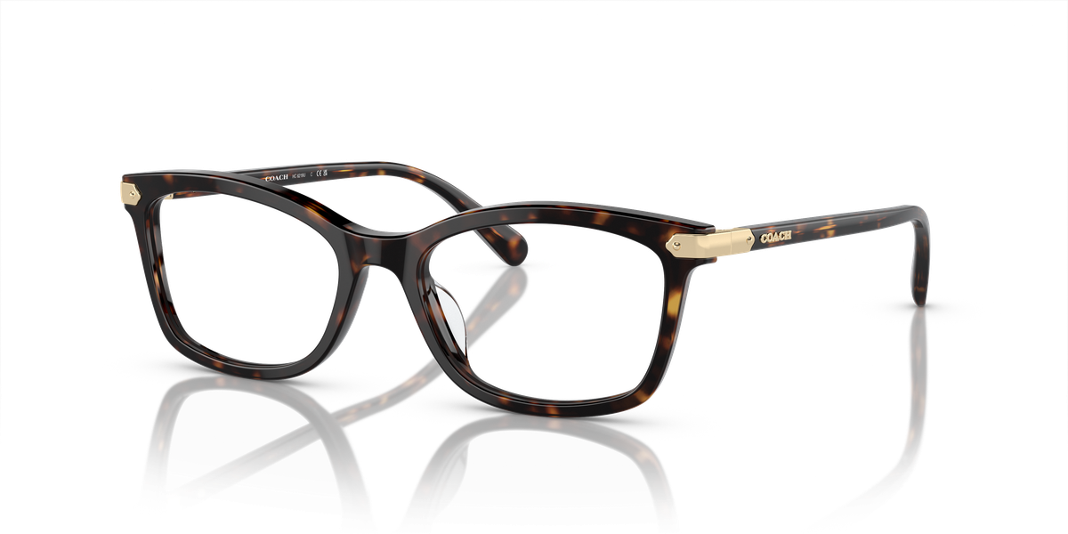 Coach HC6219U