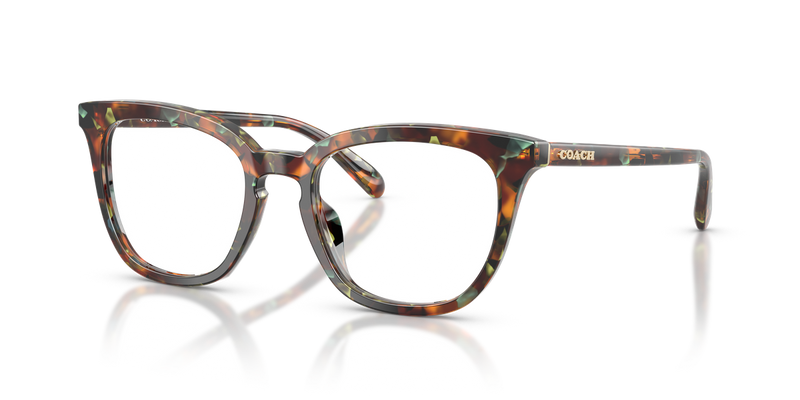 Coach HC6222U in Jade Pearl Tortoise / Demo Lens (5844) - Alternate View