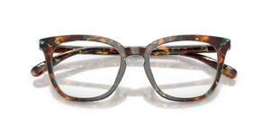 Jade Pearl Tortoise / Demo Lens (5844)