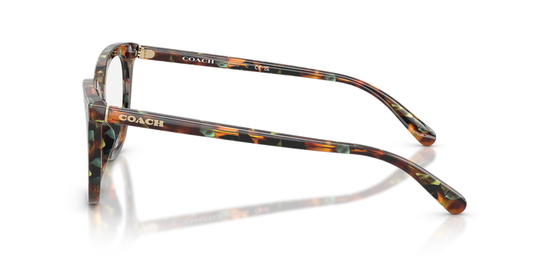 Coach HC6222U in Jade Pearl Tortoise / Demo Lens (5844) - Alternate View