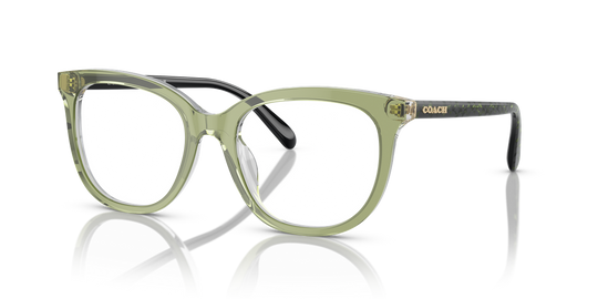 Coach HC6223U - Transparent Green Hopper / Demo Lens (5786)