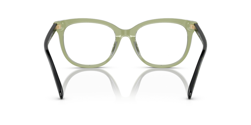 Coach HC6223U in Transparent Green Hopper / Demo Lens (5786) - Temple Detail