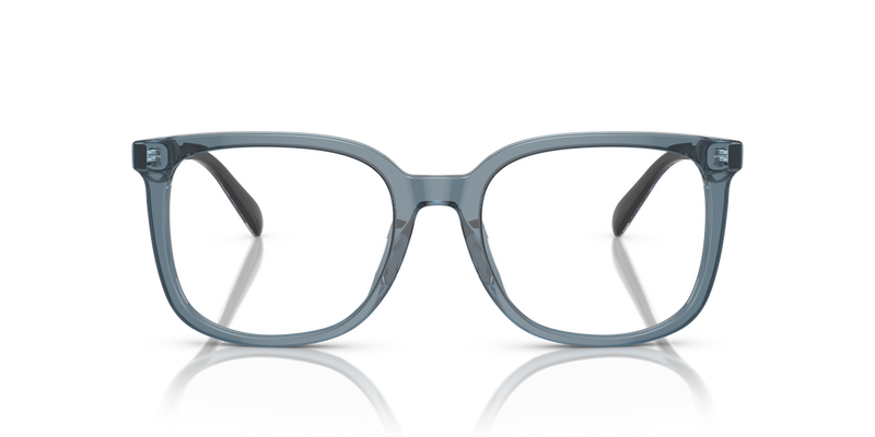 Coach HC6227U in Transparent Blue / Demo Lens (5794) - Alternate View