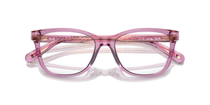 Transparent Amethyst / Demo Lens (5823)