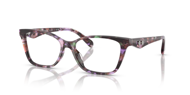 Coach HC6248U in Amethyst Pearl Tortoise / Demo Lens (5843) - Front View