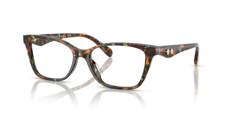 Coach HC6248U in Jade Pearl Tortoise / Demo Lens (5844) - Alternate View