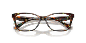 Jade Pearl Tortoise / Demo Lens (5844)