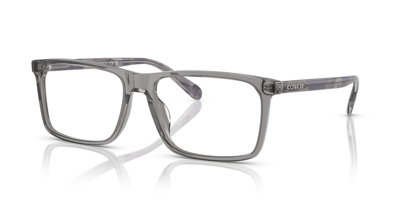 Coach HC6251U in Transparent Grey / Demo Lens (5849) - Alternate View
