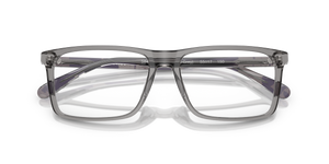 Transparent Grey / Demo Lens (5849)