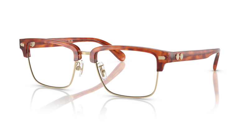Coach HC6253 in Caramel Tortoise / Demo Lens (5774) - Front View