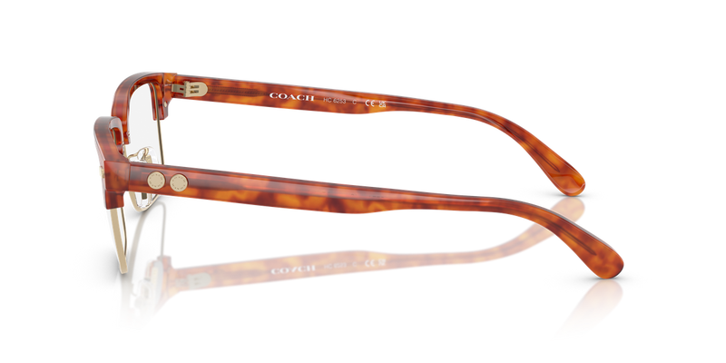 Coach HC6253 in Caramel Tortoise / Demo Lens (5774) - Back View