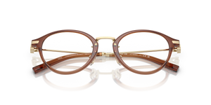 Transparent Brown / Demo Lens (5888)