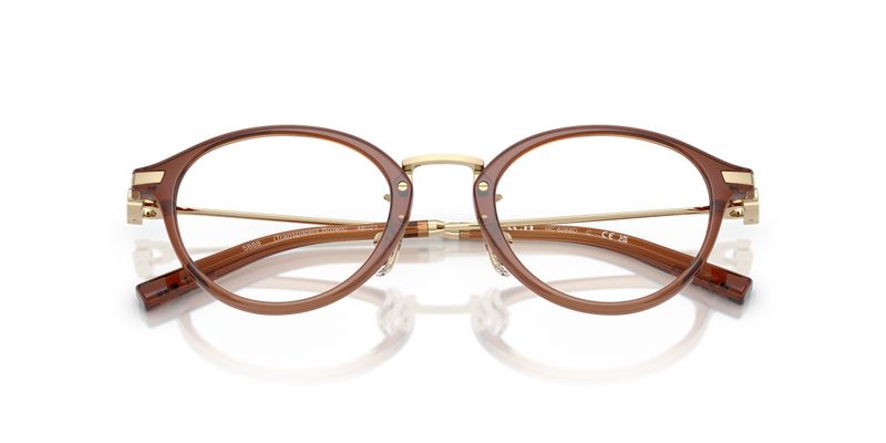 Coach HC6268D in Transparent Brown - Alternate View