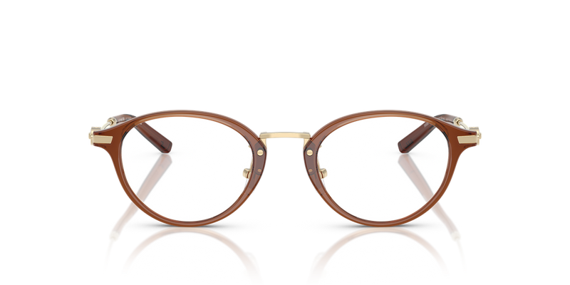 Coach HC6268D in Transparent Brown - Alternate View