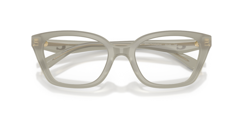 Coach HC6270U in Milky Eucalyptus / Demo Lens (5905) - Alternate View