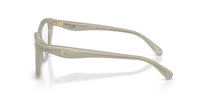 Coach HC6270U in Milky Eucalyptus / Demo Lens (5905) - Alternate View