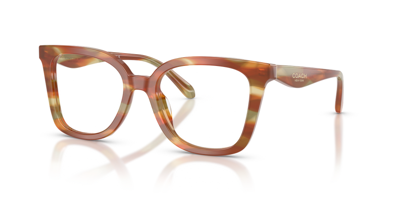 Coach HC6274U in Striated Bark/Moss / Demo Lens (5898) - Alternate View