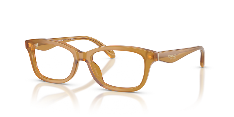 Coach HC6275U in Milky Amber / Demo Lens (5774) - Alternate View