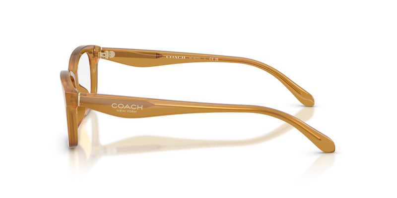 Coach HC6275U in Milky Amber / Demo Lens (5774) - Alternate View