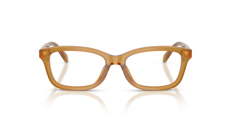 Coach HC6275U in Milky Amber / Demo Lens (5774) - Alternate View