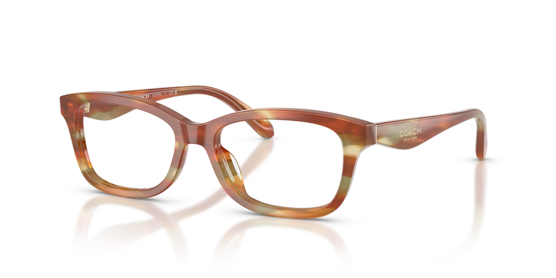 Coach HC6275U in Striated Bark/Moss / Demo Lens (5898) - Alternate View