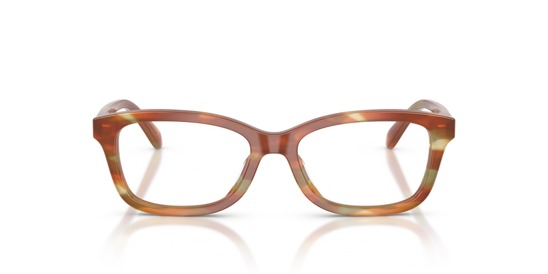 Coach HC6275U in Striated Bark/Moss / Demo Lens (5898) - Alternate View