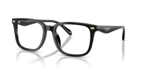 Black / Demo Lens (5002)