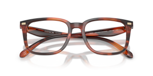 Striated Caramel / Demo Lens (5906)