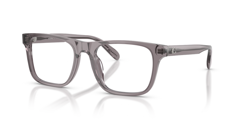 Coach HC6277U in Transparent Grey / Demo Lens (5537) - Alternate View