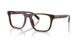 Transparent Brown / Demo Lens (5911)
