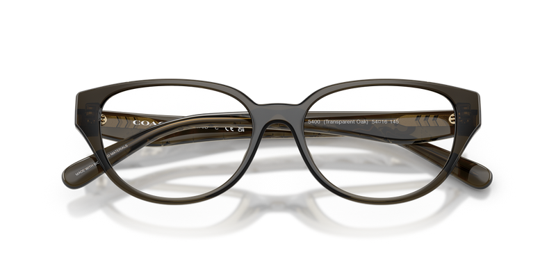 Coach HC6279D in Transparent Oak / Demo Lens (5400) - Alternate View