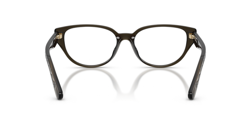 Coach HC6279D in Transparent Oak / Demo Lens (5400) - Alternate View