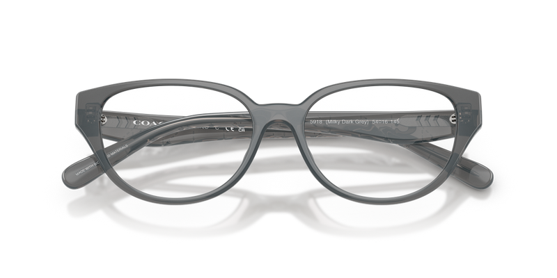 Coach HC6279D in Milky Dark Grey / Demo Lens (5918) - Alternate View