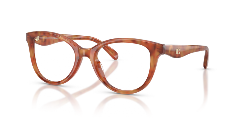 Coach HC6284F in Caramel Tortoise - Alternate View