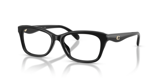 Coach HC6285F - Black / Demo Lens (5002)