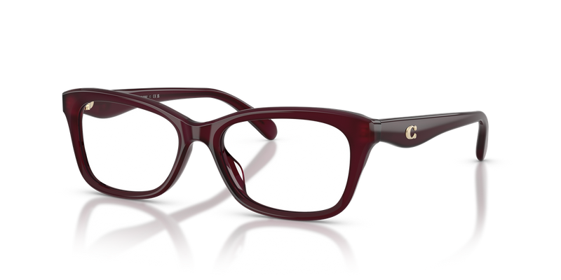 Coach HC6285F in Milky Merlot - Alternate View