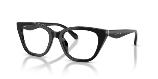Coach HC6289U - Black / Demo Lens (5002)