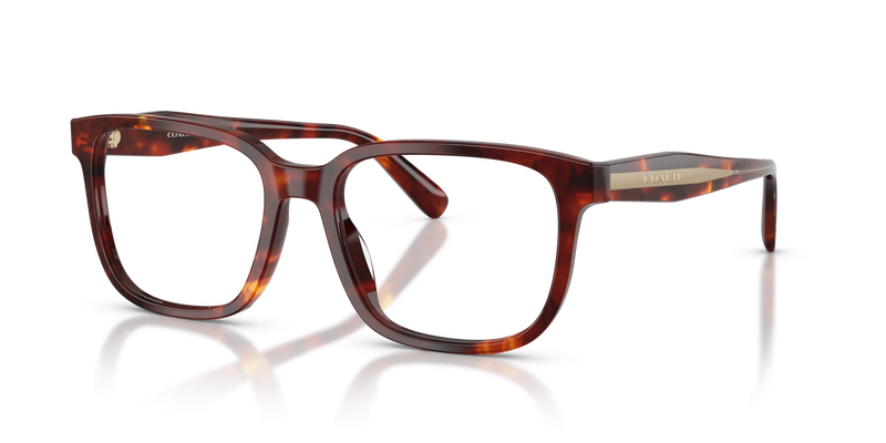 Coach HC6291U in Walnut Tortoise / Demo Lens (5938) - Alternate View