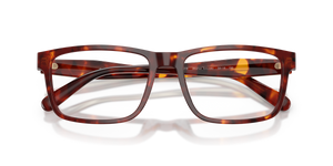 Walnut Tortoise / Demo Lens (5938)