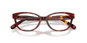 Walnut Tortoise / Demo Lens (5938)