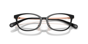 Black / Demo Lens (5002)