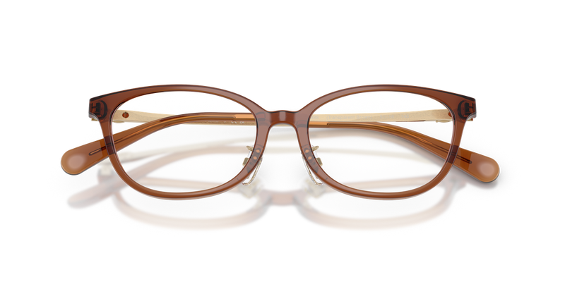 Coach HC6295D in Transparent Brown - Alternate View