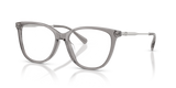Transparent Light Grey / Demo Lens (5886)