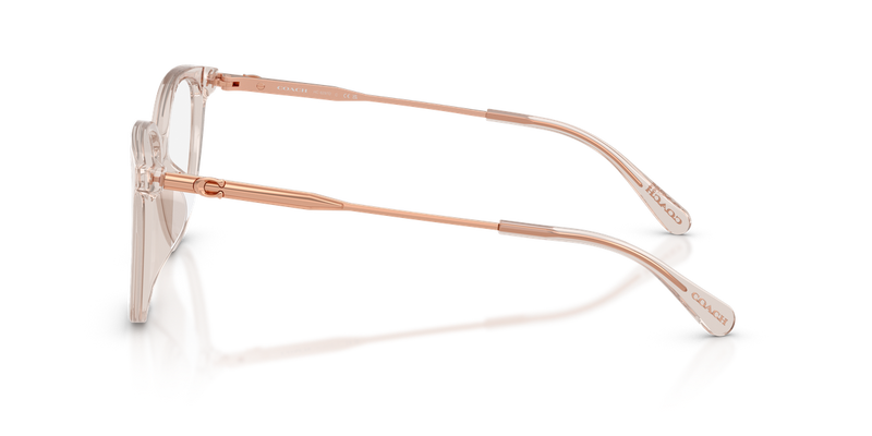 Coach HC6297D in Transparent Khaki / Demo Lens (5887) - Alternate View