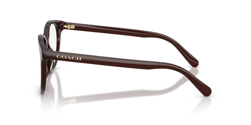 Coach HC6301F in Milky Pecan - Alternate View