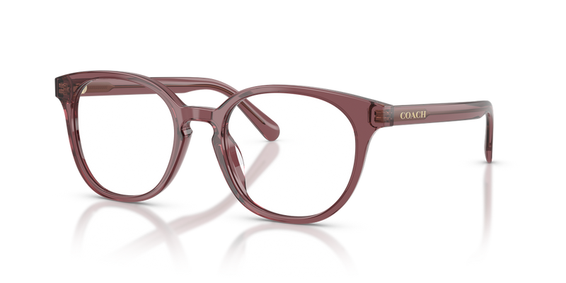 Coach HC6301F in Transparent Purple - Alternate View