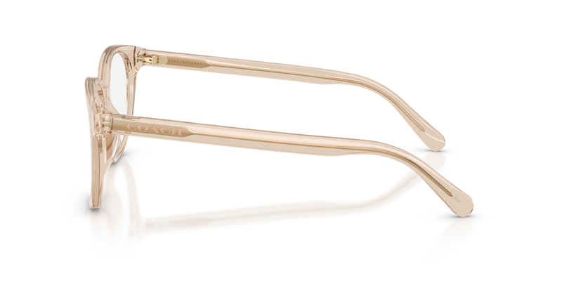 Coach HC6301U in Transparent Beige - Alternate View